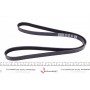 Ремінь генератора Mitsubishi Space Runner/Wagon 2.0/2.4 GDI 99-04