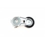 Натяжник ременя генератора Nissan X-Trail/Qashqai/Renault Clio/Fluence/Laguna III 2.0 16 V 07-