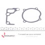 Помпа води Mazda 323/3/5/6 2.0TD/DI 98-