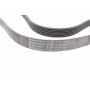 Ремінь генератора Hyundai H-1/Kia Sorento 2.5CRDi 06-/Land Rover Defender/Discovery 2.5Td5 98-
