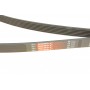 Ремінь генератора Peugeot Expert 1.9D/2.0HDI 98-/Renault Clio/Kangoo/Megane 1.4/1.6 98-03