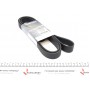 Ремінь генератора MB Atego 2 (OM924.935) 91-