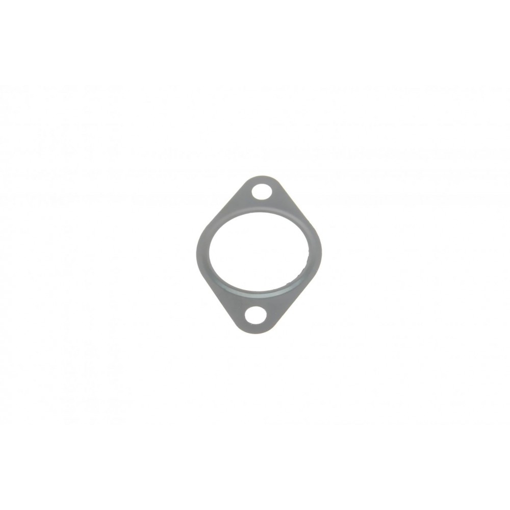 Прокладка клапана EGR Fiat Ducato 2.2JTD 06- (до колектору)