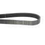 Ремінь генератора VW Passat B5/Audi A4/A6 1.6/1.8 95- (5PK1300)