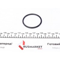 Прокладка термостата VW T4/T5 1.9/2.0 TD/TDI 90-09 (50x58x4)