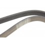 Ремінь генератора Ford Focus 1.4/1.6i 03-/Volvo C30/S40/V50 1.6 05-12 (6PK1059)