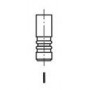 Клапан (випуск) Opel Astra G/Insignis A/Vectra B/C/Zafira A/B (30x6x101)