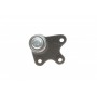 Опора кульова (передня/знизу/L) Seat Cordoba/Ibiza 02-/Skoda Fabia 99-14/Roomster 06-15/VW Polo 01-