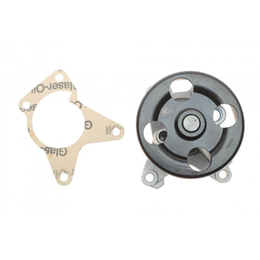 Помпа води Renault Clio/Laguna III/Megane III/Scenic III 2.0 06-, M4R 711/713/710