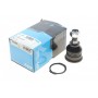 Опора кульова (передня/знизу) Nissan Primera/Sunny 86-02/Almera II 00-