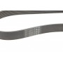 Ремінь генератора BMW X1 (F48)/X2 (F39) 1.5 hybrid 20- B38 (8PK954)
