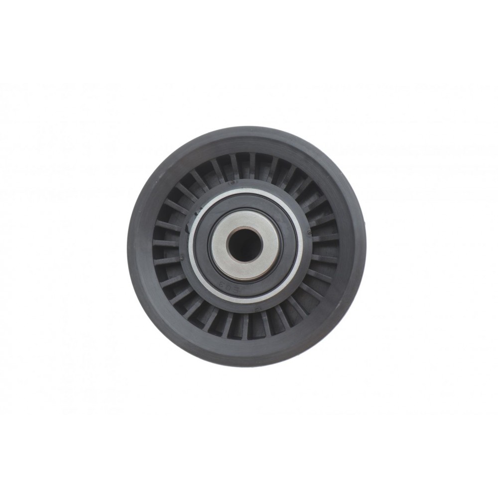 Ролик генератора Renault Megane III/Scenic III 1.2-1.4 12-(паразитний)