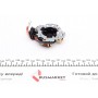 Щіткотримач стартера Ford Focus/Seat Toledo/VW Caddy/Passat/Polo Classic (AMH0029)