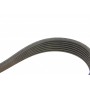 Комплект ременя генератора Renault Clio III 2.0 16V 06-14 (7PK1135)