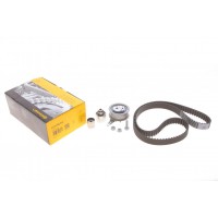 Комплект ГРМ VW Crafter/Passat B8/T6/Skoda Octavia III-IV/Audi A3 2.0D 12- (25x145z)
