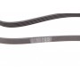 Ремінь генератора VW Passat 1.9TDI 96-00/Audi A4/A6 1.9TDI 95-01/Kia Carnival 2.9TDi/CRDi 99-06