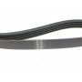 Ремінь генератора Fiat Scudo 2.0 JTD 99-06 (5PK968)