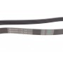 Ремінь генератора Opel Astra 1.7CDTi 03-/Renault Megane/Laguna 1.9-3.0 97-03/BMW 1 (E81/E87) 04-11
