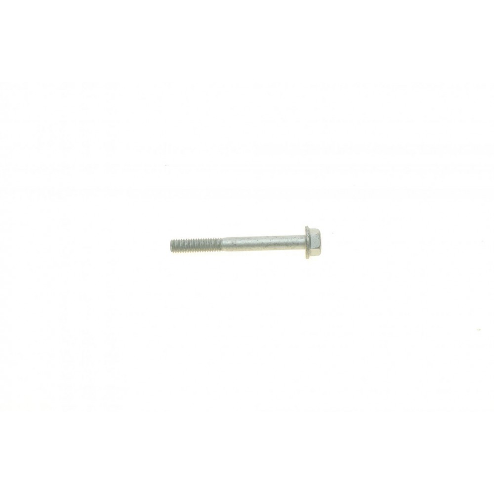 Болт (M6x1x55mm)