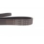 Ремінь генератора Fiat Bravo 1.9TD/JTD 96-01/1.6 D Multijet 07- (6PK1036)