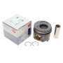 Поршень VW T5 2.5TDI (81.01mm/STD) (1-2 циліндр) = 7150170000