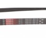 Ремінь генератора Citroen Jumper/Fiat Ducato 2.0/2.2HDi/JTD 02-
