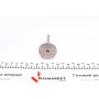 Клапан (впуск) Ford Focus/Transit 1.8TDCI 99-13 (36.5x8x107mm) (азотовані)