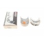 Вкладиші корінні BMW 1 (F20/F21)/2 (F45/F44/F460/X1 (F48) (B37 C15 A) 14- (STD)