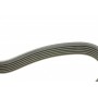 Ремінь генератора VW Caddy/Golf/Skoda Octavia 1.6/2.0 04-15/Fiat Ducato 2.5TDI 94-02/Scudo 1.6 96-06