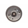 Фільтр паливний Renault Megane/Scenic 1.5-2.0dCi 10-