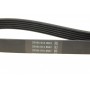 Ремінь генератора VW T5 3.2 V6 03-09