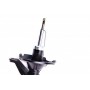 Амортизатор (передній) Honda Civic VII 01-05 (R)