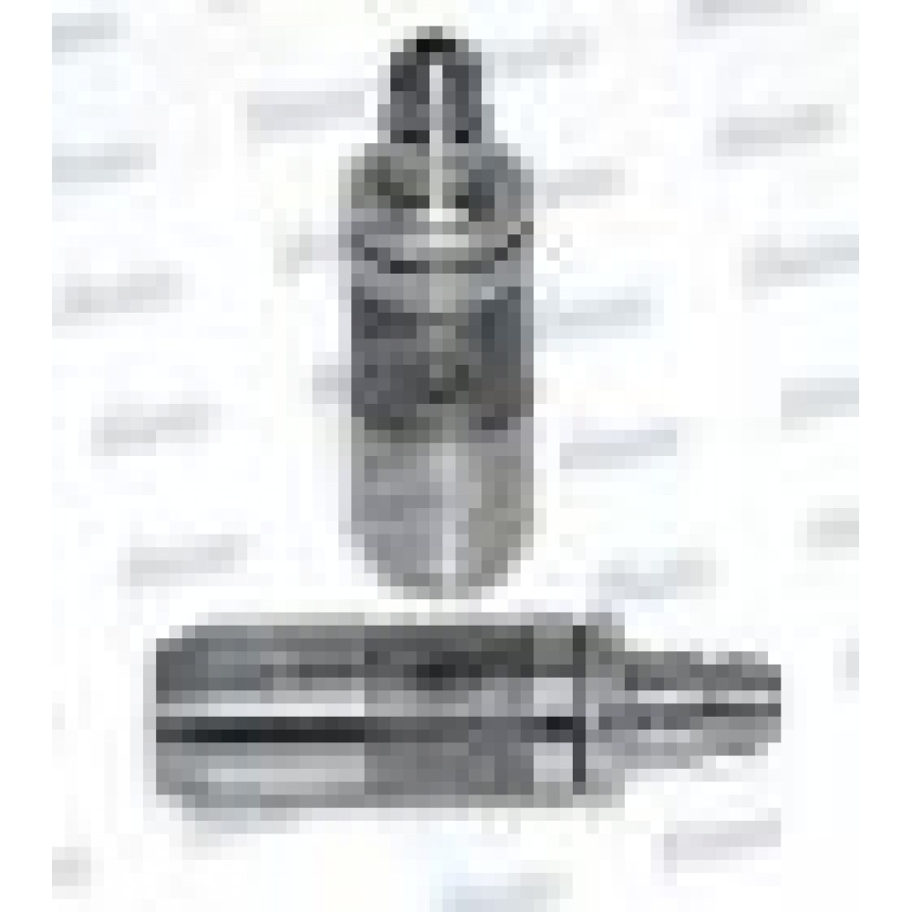 Гідрокомпенсатор Hyundai Elantra/Santa Fe/Kia Ceed 2.0CRDi 01-