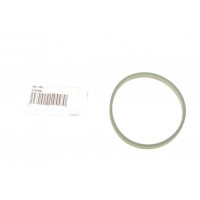 Прокладка корпуса колектора впускного Audi A2/A3/A4/VW Passat/Polo/Golf 2.0FSI 04-08