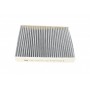 Фільтр салону Citroen C3 09-/C4 Cactus/Peugeot 2008 13-/207 06-15/208 12- (к-кт 2шт.) (вугільний)