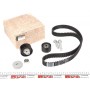 Комплект ГРМ Renault Laguna II/Megane III 1.8/2.0 01-