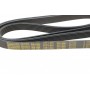 Ремінь генератора MB OM601/602 (+PS) (6PK1980)