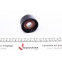 Ролик генератора Renault Trafic/Master 1.9-2.5DI/dTi (паразитний) (60х31)