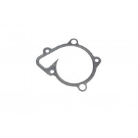 Прокладка помпи води Hyundai Fanta Fe 2.4 10-12/Kia Sportage 2.0 CVVT 10-