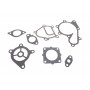 Комплект прокладок (нижній) Nissan Navara/Pathfinder 2.5 dCi 01-