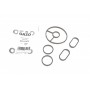 Прокладка радіатора масляного Citroen Jumpy/Fiat Scudo/Peugeot Expert 2.0 HDI 07-16 (к-кт)