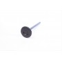 Клапан (випуск) Citroen C1/C3/Peugeot 108/308 1.2/1.2VTi 12- (26х4.97х91.85) = 5737000000