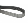 Ремінь генератора VW Caddy/Golf/Passat/T4 1.9 D/TD 96- (6PK1042)