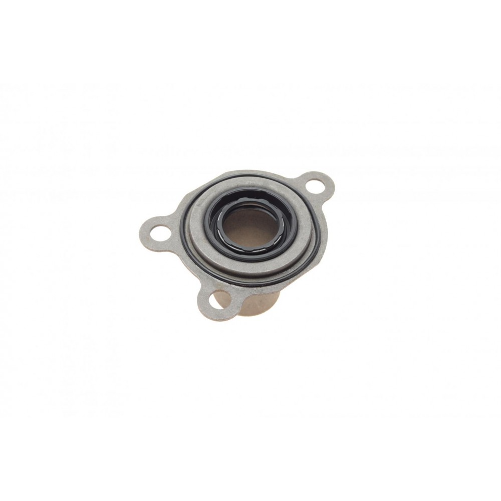 Флянець підшипника вижимного VW Caddy III/IV/T5/T6 03-