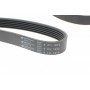 Ремінь генератора Audi/BMW/Chevrolet/MB/Opel (6PK1875)