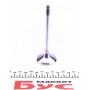 Клапан (впуск) Peugeot Boxer/Citroen Jumper 2.5TDI 94-02 (41x7x115.7)