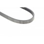 Ремінь генератора BMW 5 (E60) 2.5/3.0D 04-10 (M57) (4PK830)