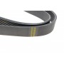 Ремінь генератора BMW 3 (F30)/5 (F10) 11-16 (N55B30A) (8PK942)