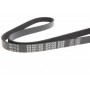 Ремінь генератора VW Passat B5/Audi A4/A6 1.6/1.8 95- (5PK1300)