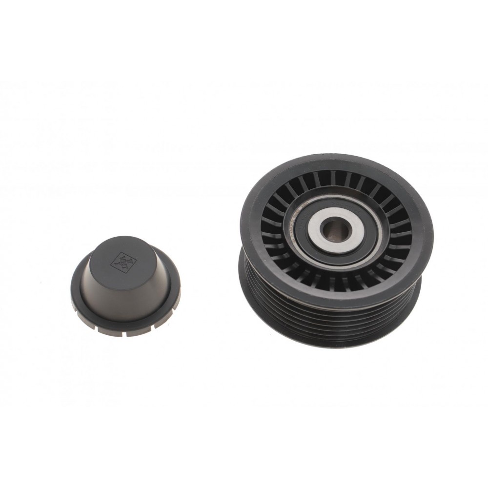 Ролик генератора Renault Megane III/Scenic III 1.2-1.4 12-(паразитний) (75х30.2), H5F/H4J